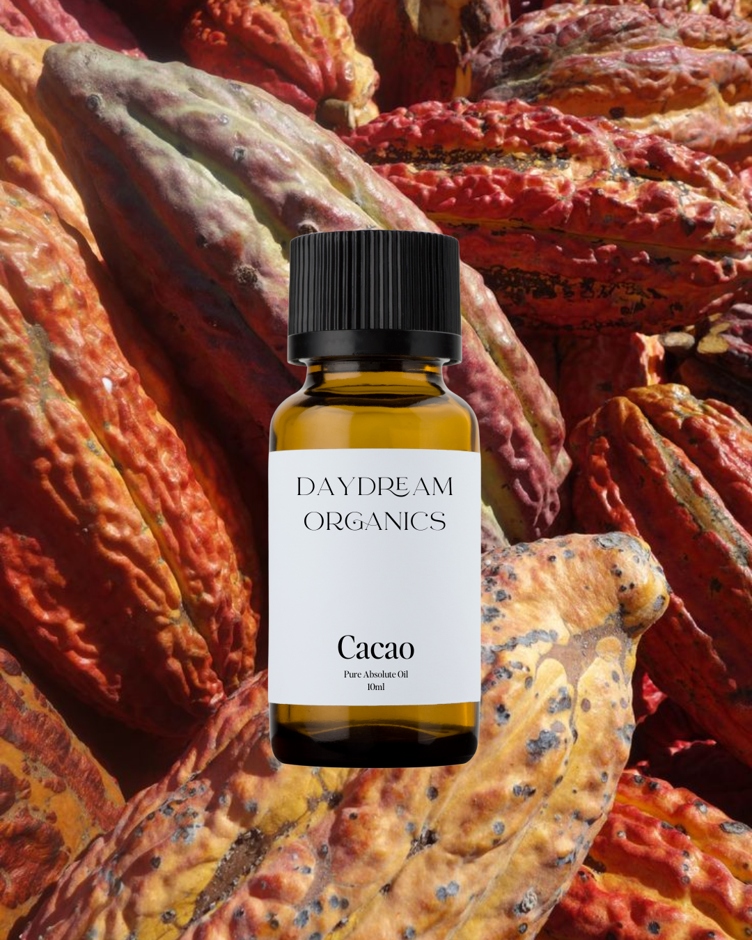 Our uncertified organic Cacao Absolute oil offers a rich, warm, and deeply comforting aroma, with creamy, earthy-sweet notes of dark chocolate and subtle hints of spice and resin.
Emotionally and energetically, Cacao is known for its heart-opening, grounding, and mood-lifting qualities, often used to evoke joy, sensuality, and emotional warmth, making it a beautiful ally for rituals, creativity, and deep connection.