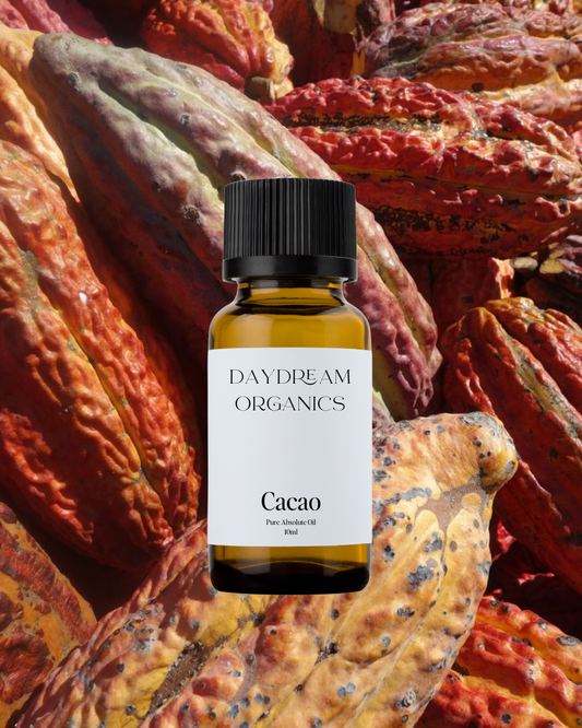 Our uncertified organic Cacao Absolute oil offers a rich, warm, and deeply comforting aroma, with creamy, earthy-sweet notes of dark chocolate and subtle hints of spice and resin.
Emotionally and energetically, Cacao is known for its heart-opening, grounding, and mood-lifting qualities, often used to evoke joy, sensuality, and emotional warmth, making it a beautiful ally for rituals, creativity, and deep connection.