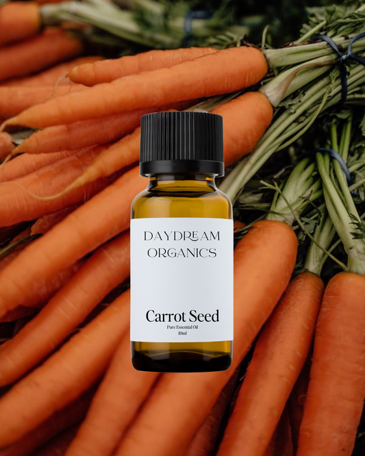 Our uncertified organic Carrot Seed (Daucus carota) essential oil offers a warm, earthy, and slightly sweet aroma with subtle woody and herbaceous undertones, grounding and rich in character.
Emotionally and energetically, Carrot Seed is known for its restorative and centering properties, often used to support mental clarity, skin renewal, and a sense of deep inner nourishment. It’s a beautiful ally for both radiant skin and rooted energy.