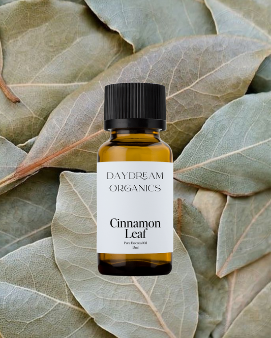 Our uncertified organic Cinnamon Leaf (Cinnamomum verum) essential oil offers a warm, spicy, and slightly herbaceous aroma with soft clove-like notes—less sweet than cinnamon bark, yet deeply comforting and stimulating.
Emotionally and energetically, Cinnamon Leaf is known to be warming, invigorating, and uplifting, helping 
Emotionally and energetically, Cinnamon Leaf is grounding, restoring and uplifting. Cinnamon Leaf can be used to inspire sensual moods, improve morale and promote a positive mindset.