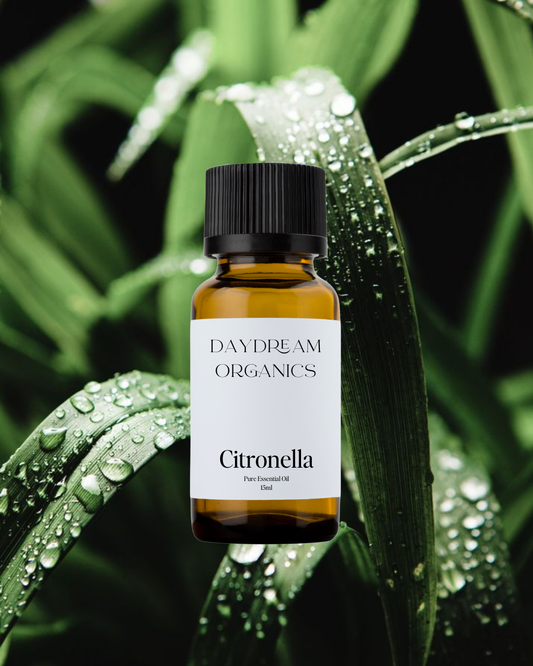 Our ethically wildcrafted Citronella essential oil has a sweet, citrusy, lemony, woody aroma. Citronella is most commonly known for being a natural bug repellent.
Emotionally and energetically, Citronella is soothing, grounding, releasing and uplifting. Citronella can bring a very clean aroma to any space.