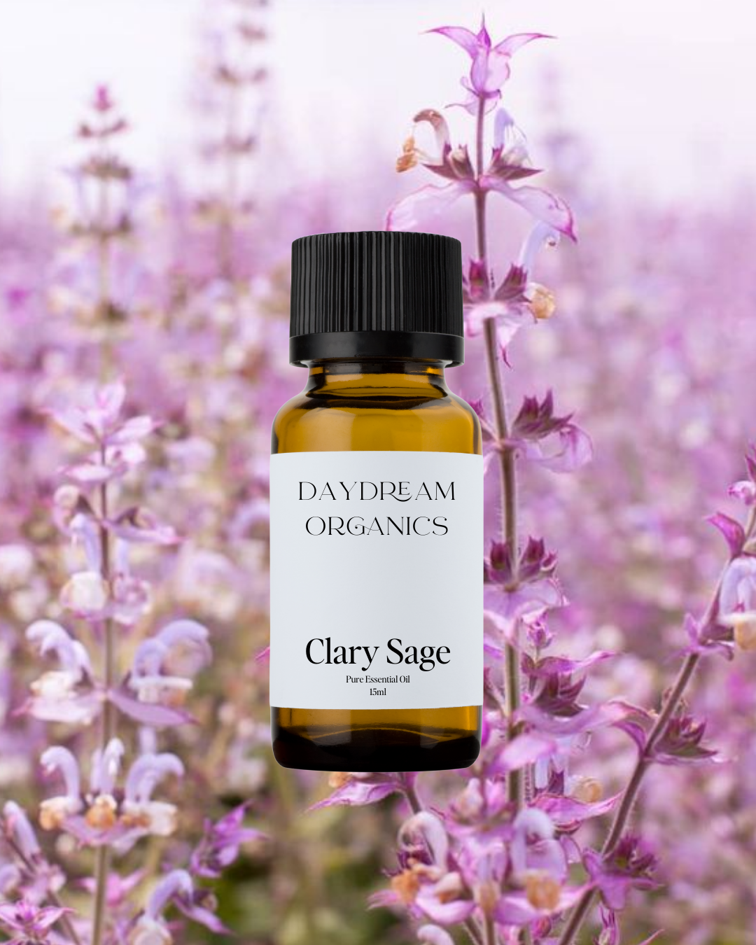 Our uncertified organic Clary Sage essential oil is steam distilled and offers a fresh, warm, sweet and herbaceous aroma.
Emotionally and energetically, Clary Sage essential oil is uplifting, nourishing, relaxing and calming. Clary Sage is believed to inspire creativity and can also be used as a potent natural aphrodisiac.