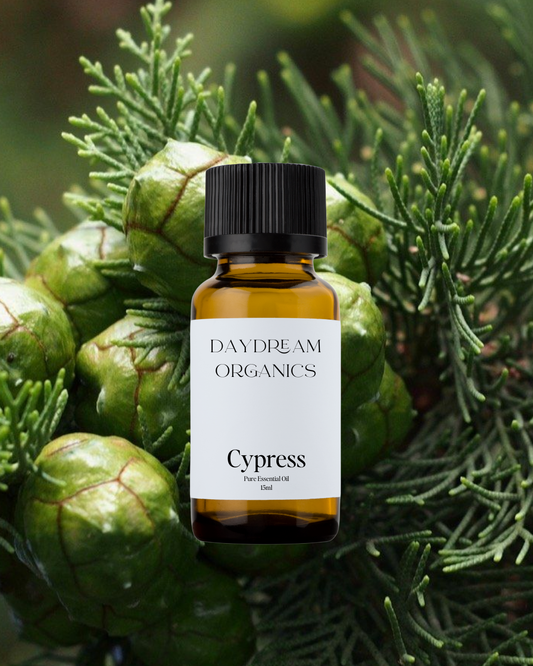 Our uncertified organic Cypress (Cupressus sempervirens) essential oil is known for its crisp, clean, and slightly woody aroma, with fresh evergreen and subtle smoky notes.
Emotionally and energetically, Cypress is deeply grounding, purifying, and supportive during times of transition or emotional overwhelm. It’s often used to promote clarity, resilience, and inner strength, making it a beautiful ally for both mind and body balance.