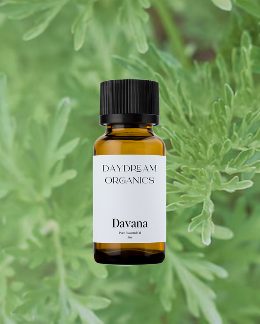 Davana Essential Oil