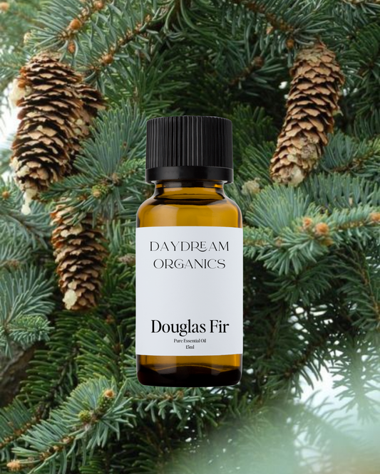 Our ethically wildcrafted Douglas Fir essential oil offers an intense, woody, balsamic and coniferous aroma. Douglas Fir is a vibrant essential oil!
Emotionally and energetically, Douglas Fir is restorative, calming and uplifting, specifically during times of emotional difficulty.