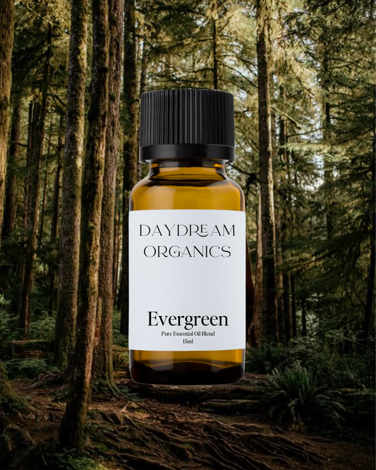 Our Evergreen essential oil blend has been created to help you escape to the Evergreens, no matter where you are. Inspired by the stillness and strength of coniferous woods, this blend awakens the senses, clears the mind, and leaves you feeling renewed, energized, and rooted in nature.