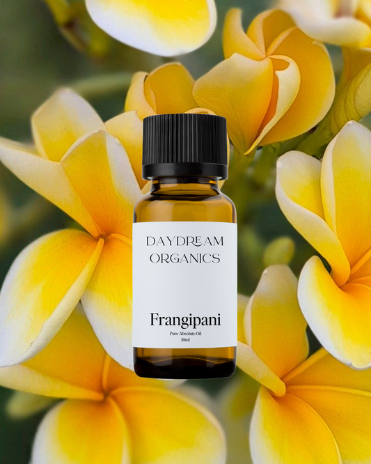 Our uncertified organic Frangipani Absolute essential oil offers an ethereal, rich, heady, and extremely sweet aroma with undertones of earthiness. 
Emotionally and energetically, Frangipani is calming, relaxing and can help to promote feelings of positivity. Frangipani is also known as an aphrodisiac.