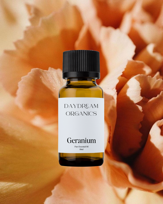 Our uncertified organic Geranium essential oil offers a fresh, soft, lemony, rosy and herbaceous aroma. 
Emotionally and energetically, Geranium is uplifting, stabilizing and relaxing.