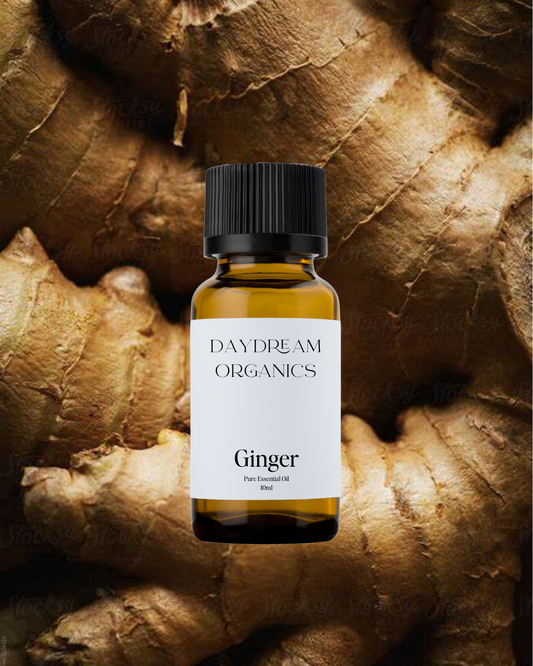 Our uncertified organic Ginger essential oil offers a spicy, lively and intensely warming essential oil. 
Emotionally and energetically, Ginger essential oil is warming, stabilizing, stimulating and motivating. Ginger is also known as a potent aphrodisiac and is highly revitalizing.