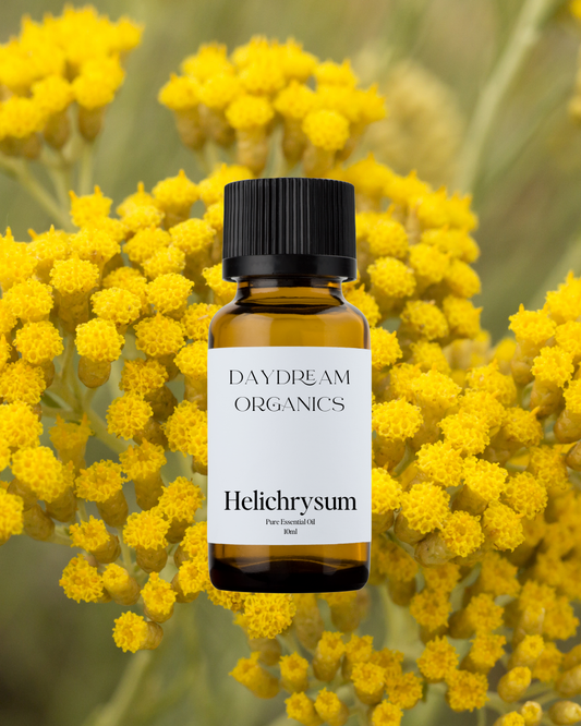 Our ethically wildcrafted Helichrysum essential oil offers a rich, herbaceous, honey-like, earthy aroma. 
Emotionally and energetically, Helichrysum is healing, balancing and emotionally revitalizing.