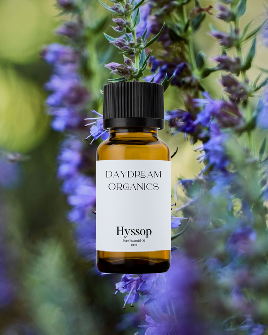 Our ethically wildcrafted Hyssop essential oil offers a herbaceous, slightly minty aroma. 
Emotionally and energetically, Hyssop is cleansing, strengthening, fortifying and clarifying. Hyssop is believed to help people strengthen and maintain their personal boundaries, making it a good ally for those who feel easily influenced by others emotions and energies.