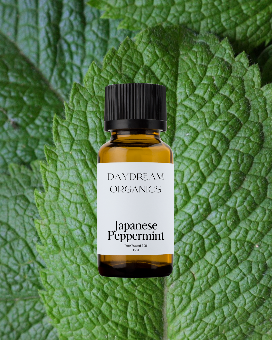 Our uncertified organic Japanese Peppermint essential oil offers a potent, herbaceous, cooling, minty aroma.
Emotionally and energetically, Japanese Peppermint is cooling, revitalizing, refreshing, uplifting and relaxing. Peppermint is known to stimulate new ideas, creativity and concentration.