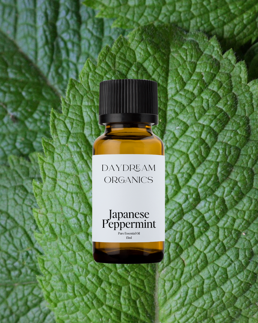 Our uncertified organic Japanese Peppermint essential oil offers a potent, herbaceous, cooling, minty aroma.
Emotionally and energetically, Japanese Peppermint is cooling, revitalizing, refreshing, uplifting and relaxing. Peppermint is known to stimulate new ideas, creativity and concentration.