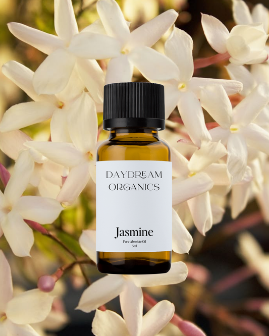 Our uncertified organic Jasmine Absolute essential oil offers a floral, sensual, sweet and somewhat musky aroma. Jasmine is considered to be a very elegant, devotional oil. Jasmine has a long history of use in blessings as well as for protection and good luck. 
Emotionally and energetically, Jasmine is nourishing, balancing and protecting.
