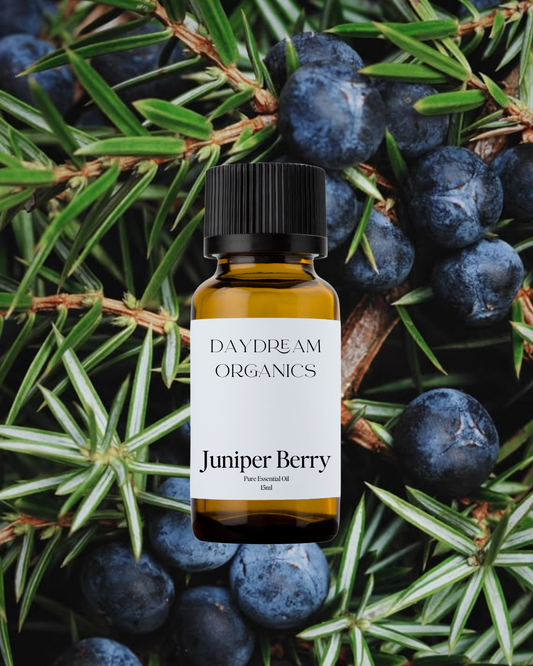 Our ethically wildcrafted Juniper Berry essential oil offers a fresh, woodsy, balsamic, slightly sweet aroma. Juniper is known for being the key aromatic in Gin.
Emotionally and energetically, Juniper is cleansing, purifying, calming and grounding.