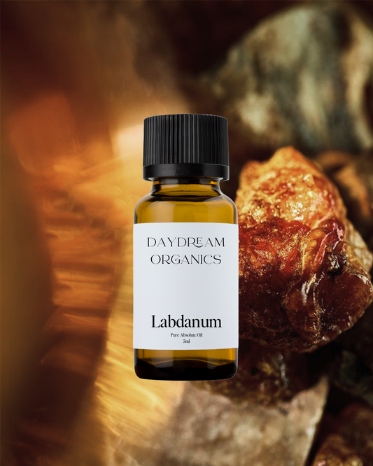 Our ethically wildcrafted Labdanum Absolute essential oil offers an aromatic, rich, resinous, amber-like, balsamic and earthy aroma. 
Emotionally and energetically, Labdanum Absolute is grounding, uplifting, and anointing. Labdanum is often used during meditation and other spiritual experiences, enhancing feelings of consciousness.