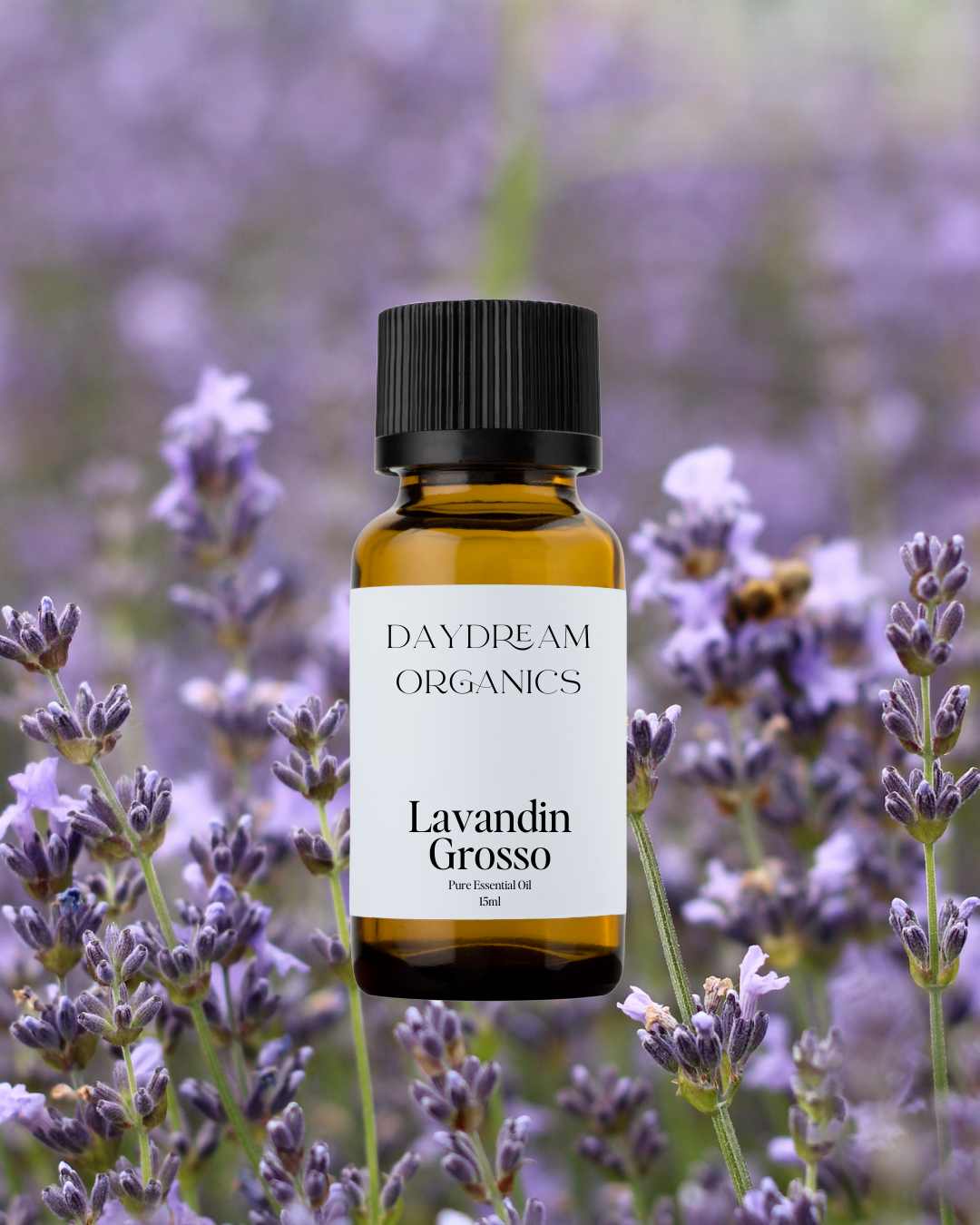 Our uncertified organic Lavandin Grosso essential oil derives from the Lavandula x intermedia plant, a close relative of Lavender. Lavandin offers a floral, fresh, herbaceous and sweet aroma. 
Emotionally and energetically, Lavandin Grosso is deeply relaxing and calming.