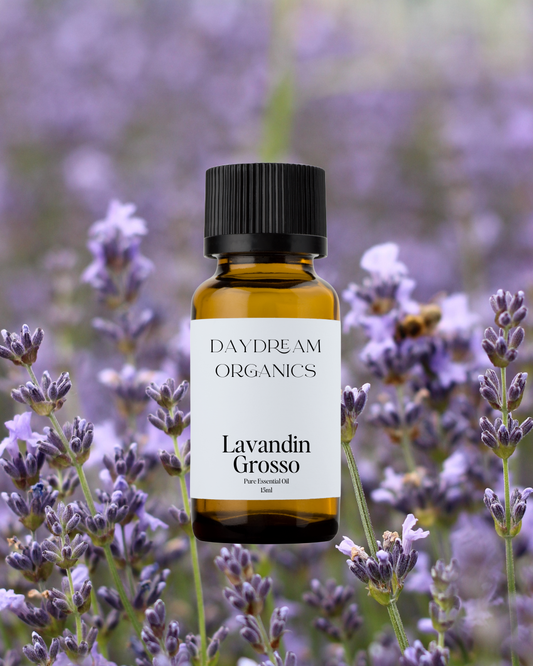 Our uncertified organic Lavandin Grosso essential oil derives from the Lavandula x intermedia plant, a close relative of Lavender. Lavandin offers a floral, fresh, herbaceous and sweet aroma. 
Emotionally and energetically, Lavandin Grosso is deeply relaxing and calming.