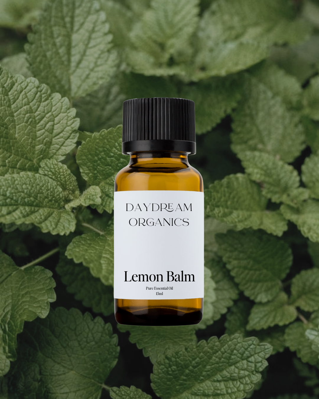Our uncertified organic Lemon Balm (Melissa) essential oil offers a sweet, fresh, bright, citrus-like aroma.
Emotionally and energetically, Melissa (Lemon Balm) is warming, uplifting, mood enhancing and calming. Melissa is known to support emotional harmony, encourage deep relaxation and provide support during times of great stress.