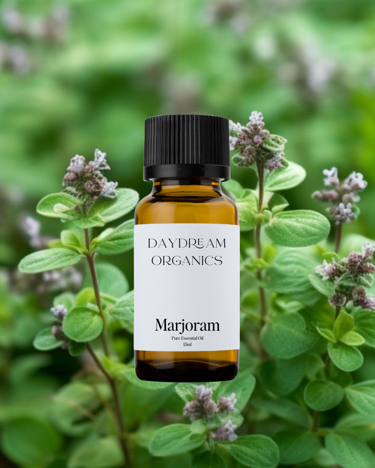 Our ethically wildcrafted Marjoram essential oil offers a fresh, herbaceous, woodsy, and slightly medicinal aroma.
Emotionally and energetically, Marjoram is warming, revitalizing, calming, pleasantly stimulating and deeply comforting.