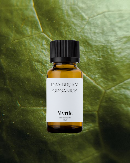 Our ethically wildcrafted Myrtle essential oil offers a fresh, clean, sweet, herbaceous and refreshing aroma. 
Emotionally and energetically, Myrtle can promote a positive, harmonious and calm atmosphere. Myrtle is incredibly soothing and calming to an overactive mind and can also help to clarify the mind in times of fogginess. Myrtle is traditionally associated with the Greek goddess Aphrodite, the goddess of love, making it perfect for promoting love and intimacy.