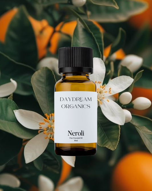 Our uncertified organic Neroli essential oil offers a strong, herbaceous, citrusy, floral aroma. 
Emotionally and energetically, Neroli is calming, soothing and deeply relaxing. Neroli is known for inspiring creativity and facilitating greater spiritual awareness and understanding.