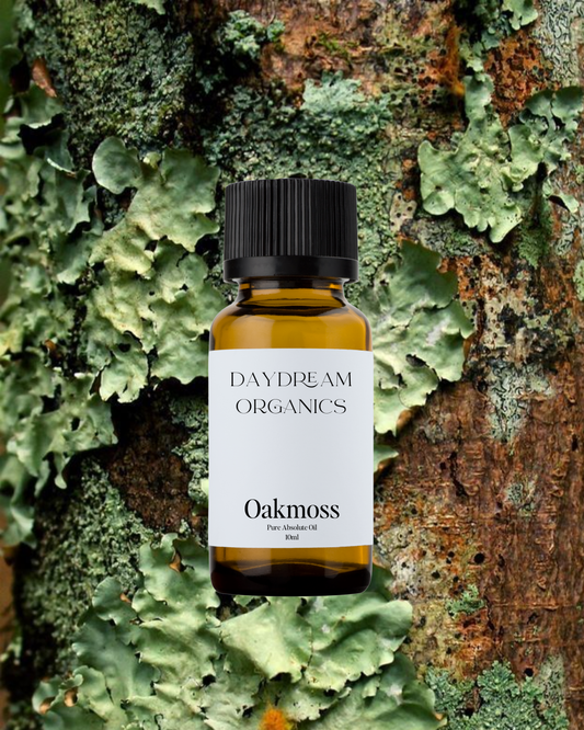 Our ethically wildcrafted Oakmoss Absolute Oil offers a deep, earthy, and mossy aroma with rich woodland undertones and a hint of smoky, leather-like warmth.
Emotionally and energetically, Oakmoss is anchoring, stabilizing, and introspective, often used to promote emotional resilience, deepen meditation, and foster a strong sense of rootedness and connection to nature.