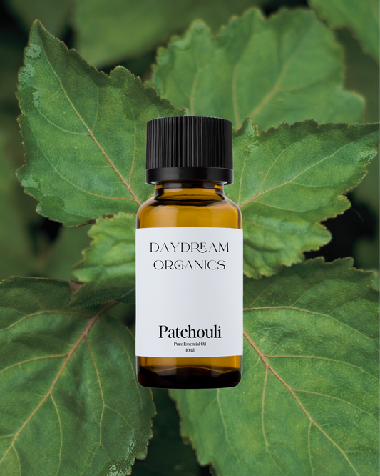 Our uncertified organic Patchouli essential oil offers a sweet, herbaceous, earthy, sensual, woody, balsamic aroma.
Emotionally and energetically, Patchouli is uplifting, balancing, and opening. Patchouli is known to open the mind and the heart, heightening the senses and helping one connect to their sensual inner being. Patchouli balances the mental, spiritual and physical realms and is highly revered for its sensual power.