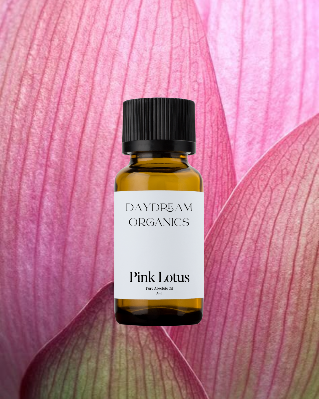 Our uncertified organic Pink Lotus Absolute essential oil offers a honey-sweet, floral and earthy aroma with a luscious, tropical undertone. The Pink Lotus flower is believed to be the most heavenly scented of all the Lotus flowers. 
Emotionally and energetically, Pink Lotus is calming, and can generate feelings of kindness and forgiveness. Pink Lotus is known for promoting spiritual growth and as well as for its aphrodisiac properties.