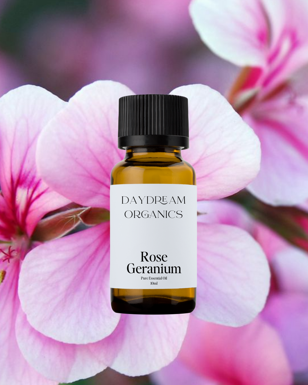 Rose Geranium Essential Oil
