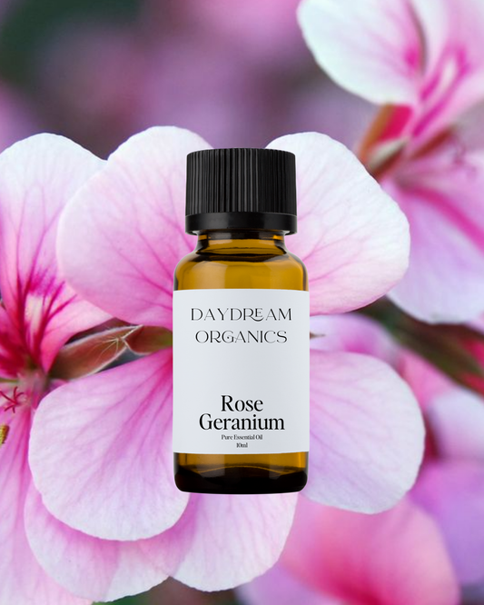Rose Geranium Essential Oil