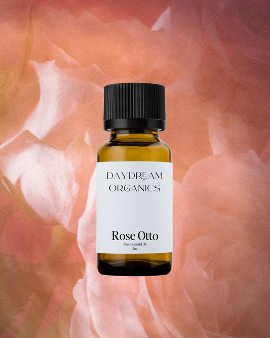 Our uncertified organic Rose Otto essential oil offers a rich, floral, sweet, warm and luxurious aroma.
Emotionally and energetically, Rose Otto is balancing, calming and emotionally soothing. Rose Otto is known as the "oil of love" and encourages an open heart as well as a calmness of mind, body and spirit.