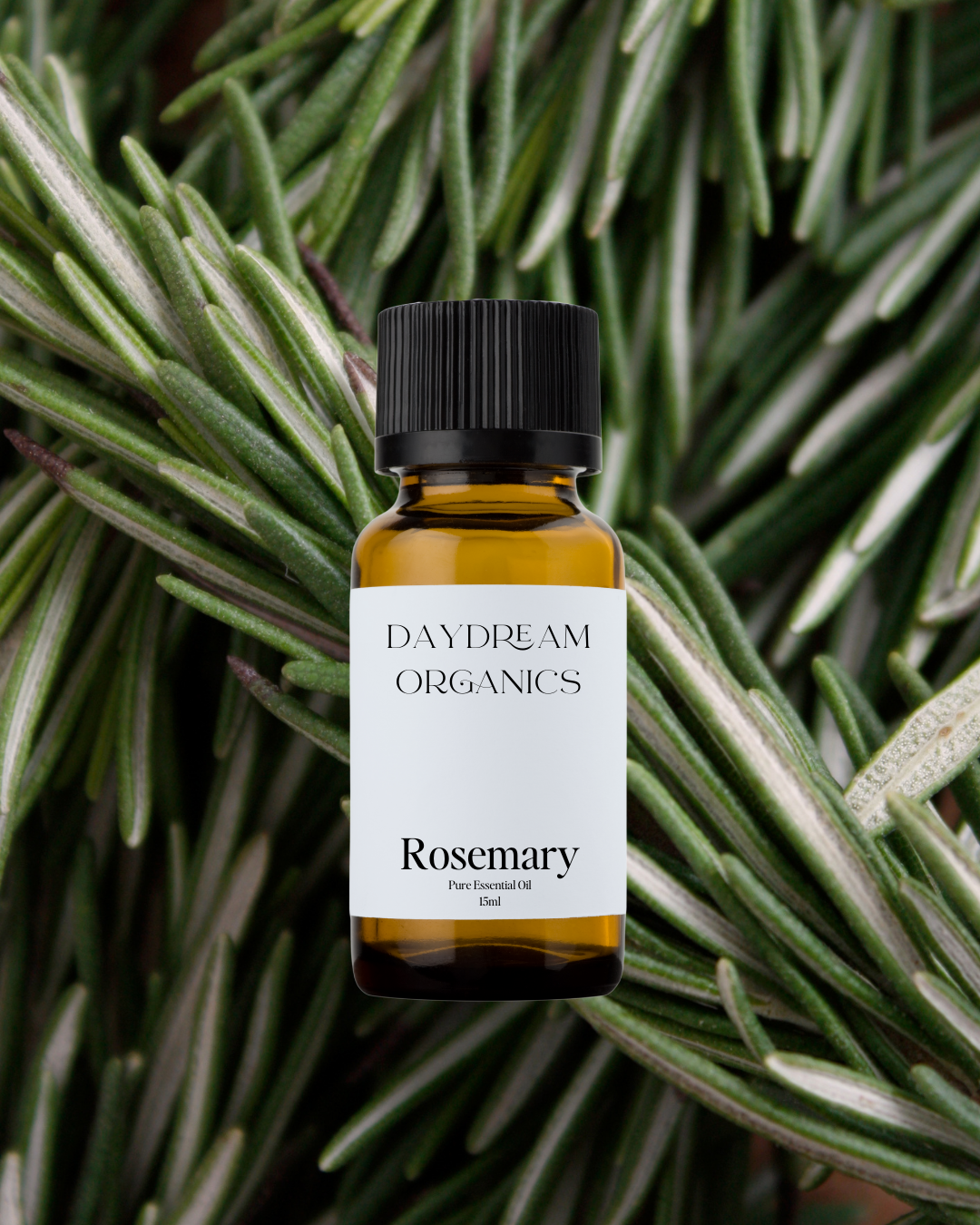 Our uncertified organic Rosemary essential oil offers an intense, fresh, sweet, herbaceous and minty-green aroma with clean, woody and balsamic undertones. 
Emotionally and energetically, is mentally clarifying, energizing and uplifting. Rosemary is known to clear feelings of negativity, inspire a more positive outlook and strengthen the mind.