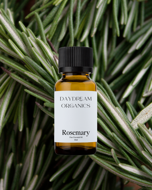 Our uncertified organic Rosemary essential oil offers an intense, fresh, sweet, herbaceous and minty-green aroma with clean, woody and balsamic undertones. 
Emotionally and energetically, is mentally clarifying, energizing and uplifting. Rosemary is known to clear feelings of negativity, inspire a more positive outlook and strengthen the mind.