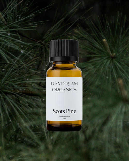 Our ethically wildcrafted Pine essential oil offers a powerful, green, fresh, evergreen and balsamic aroma. Pine offers many benefits to our body, emotions and spirit.
Emotionally and energetically, Pine is calming, stimulating and clarifying. Pine is known to support the inner being and for supporting a more positive state of mind.