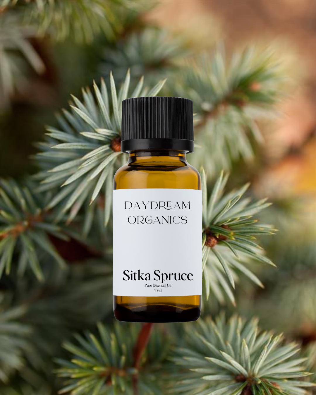 Sitka Spruce Essential Oil