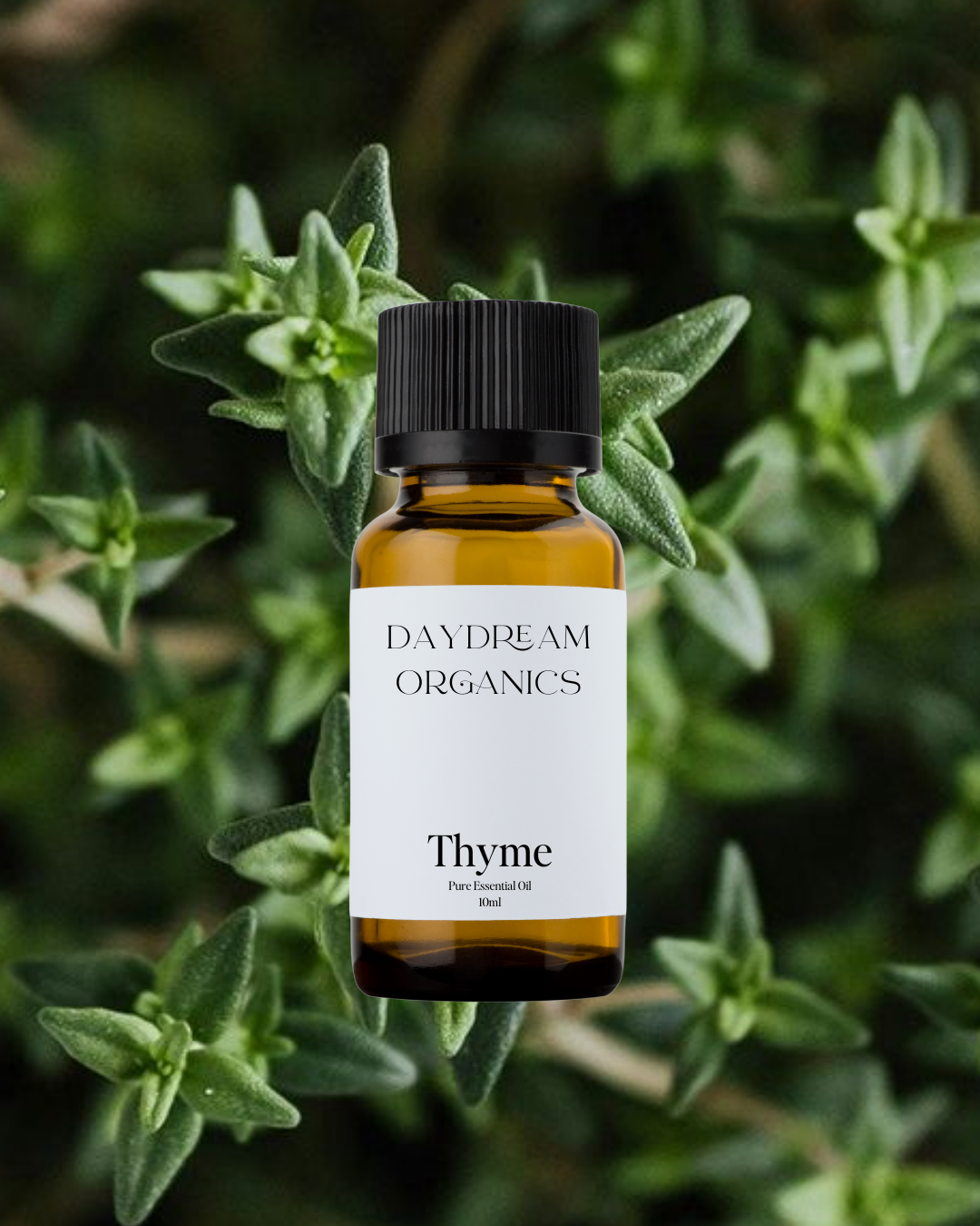 Our ethically wildcrafted Thyme essential oil offers a spicy, warm, sweet, herbaceous and clean aroma with slight peppery undertones.