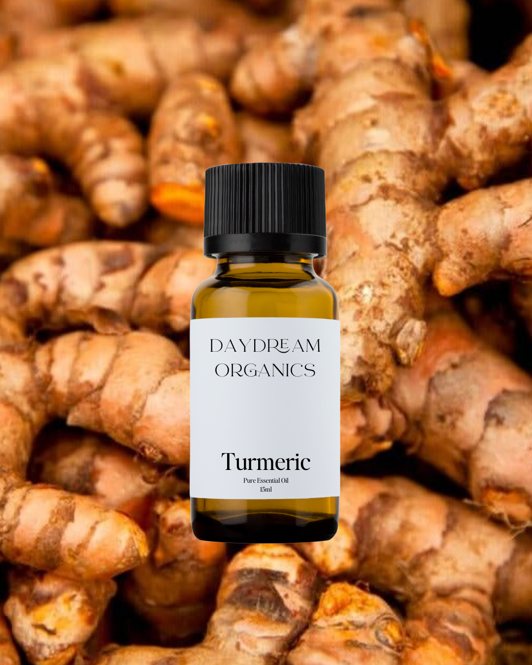 Turmeric (Wild) Essential Oil