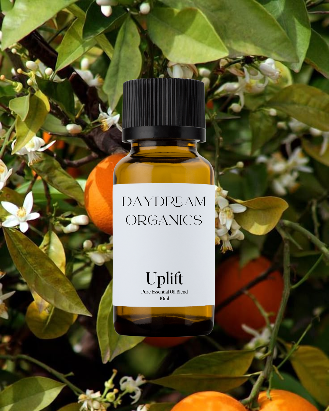 Our Uplift essential oil blend has been created to uplift the spirit and support a positive mood. This blend of oils is lively, joyful and lighthearted.