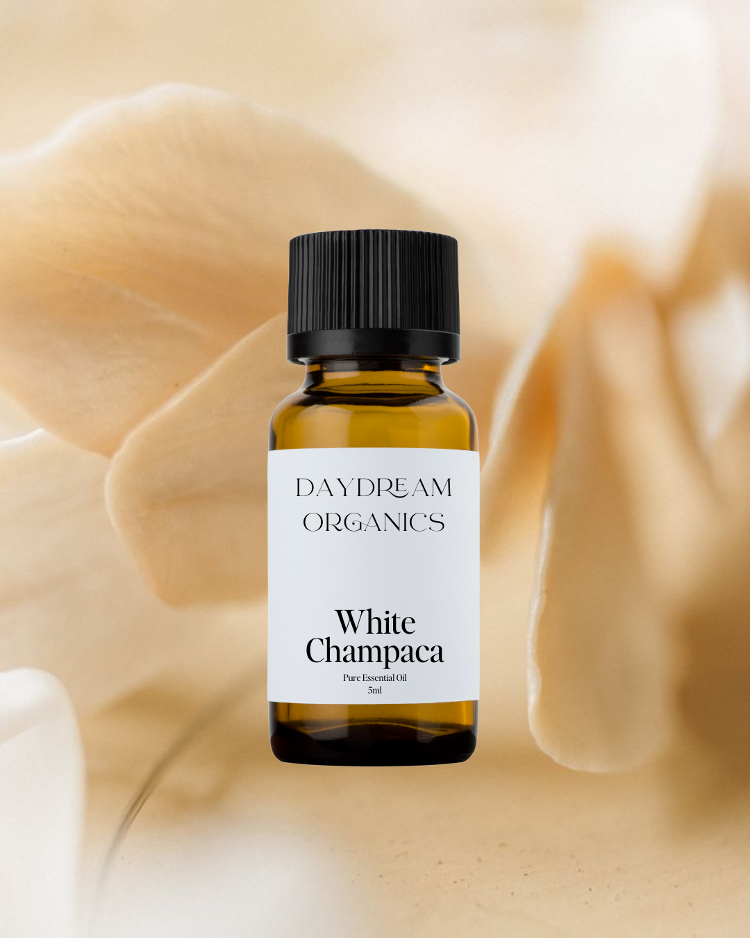 Our uncertified organic White Champaca essential oil offers a sweet, floral, honey and slightly spicy aroma with undertones of green tea. 
