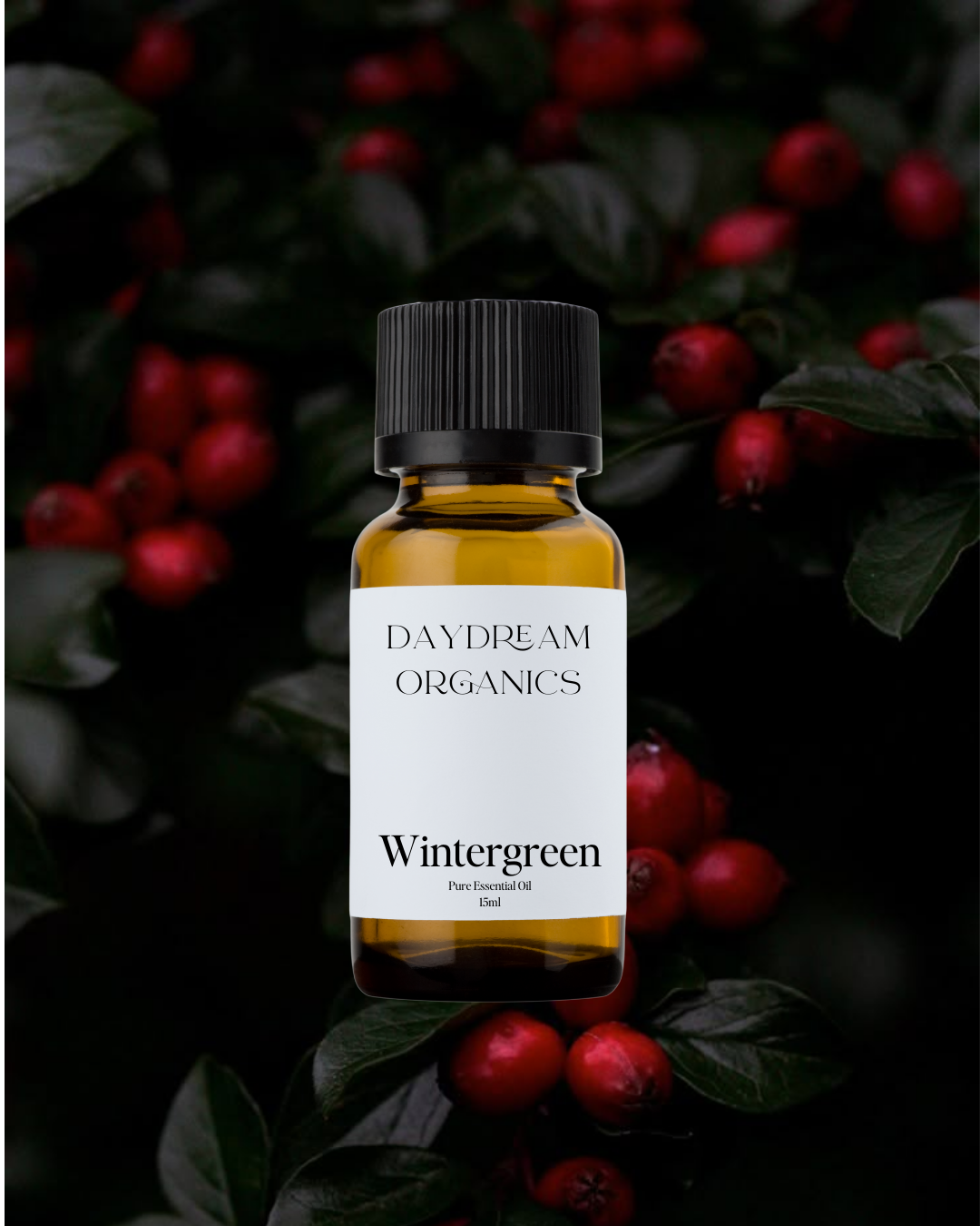 Our ethically wildcrafted Wintergreen essential oil offers a strong, sweet, woody, slightly minty aroma.
Emotionally and energetically, Wintergreen is uplifting, stimulating, clarifying and warming. Wintergreen is known to clarify the thoughts, foster a greater sense of confidence and support positivity. 