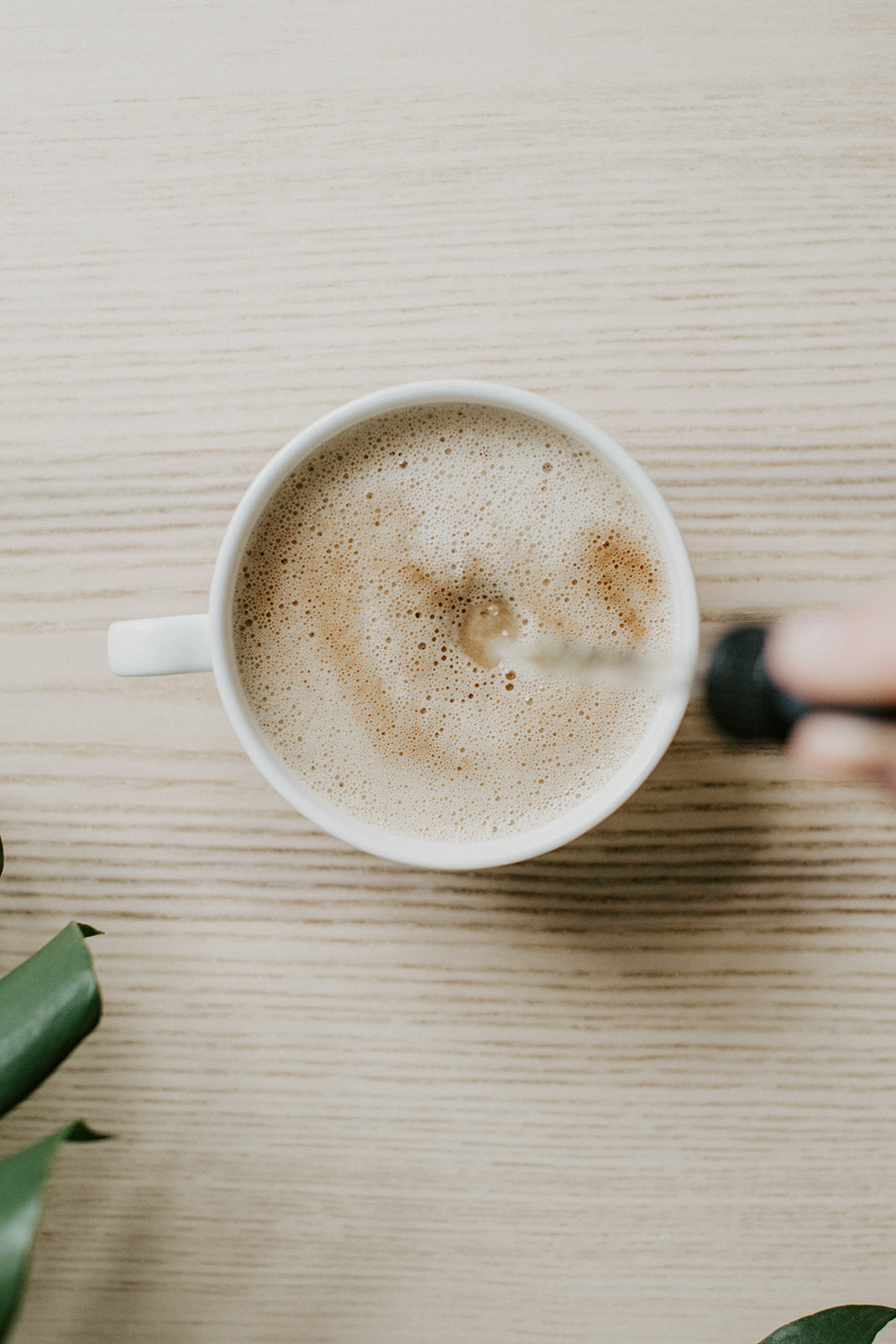 Functional Mushrooms