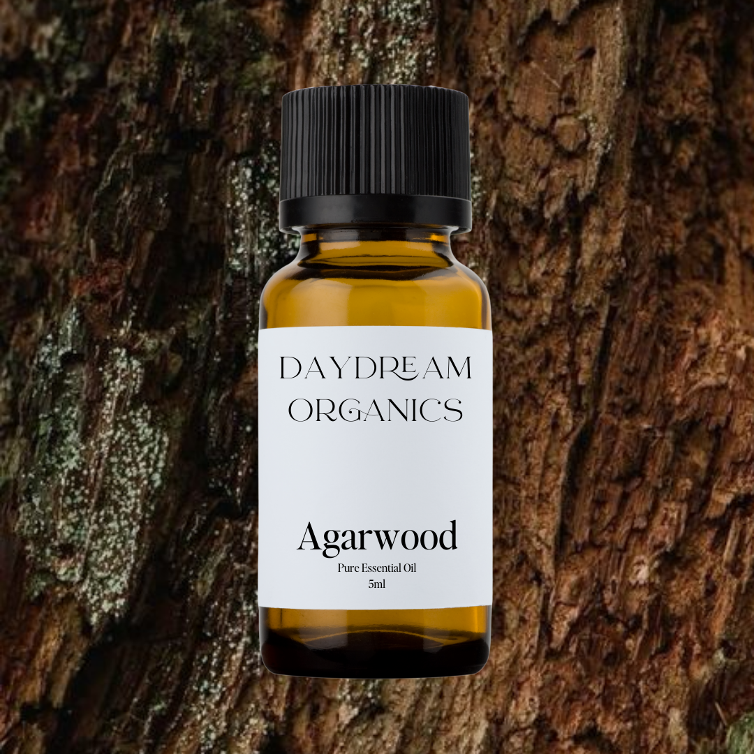 Our uncertified organic Agarwood (Oud) essential oil offers a deep, rich, and complex aroma with woody, smoky, and slightly sweet resinous notes, long revered for its grounding and sacred presence.

Emotionally and energetically, Agarwood is centering, meditative, and spiritually elevating, often used to quiet the mind, deepen inner connection, and evoke a profound sense of peace, reverence, and emotional depth.