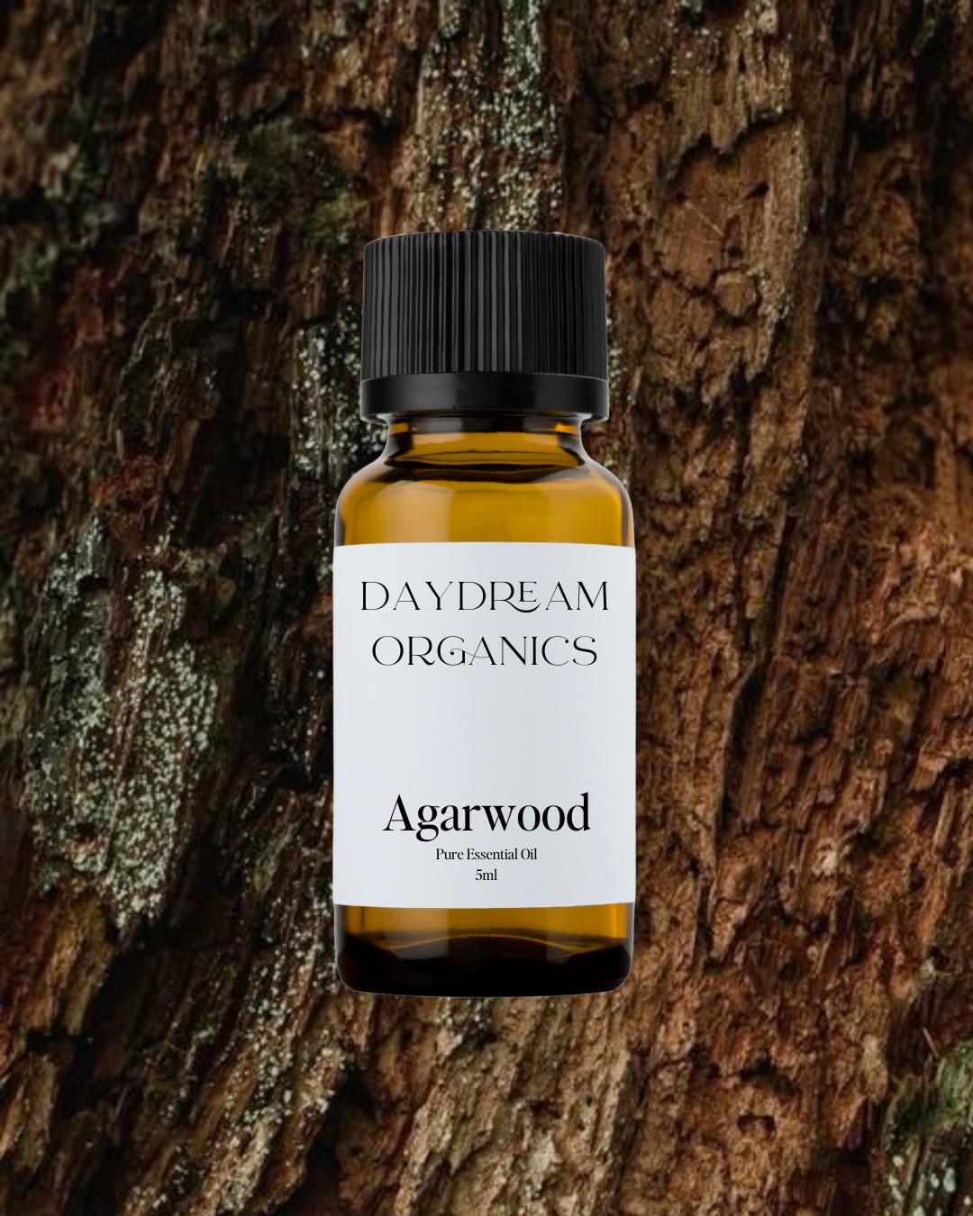Our uncertified organic Agarwood (Oud) essential oil offers a deep, rich, and complex aroma with woody, smoky, and slightly sweet resinous notes, long revered for its grounding and sacred presence.

Emotionally and energetically, Agarwood is centering, meditative, and spiritually elevating, often used to quiet the mind, deepen inner connection, and evoke a profound sense of peace, reverence, and emotional depth.