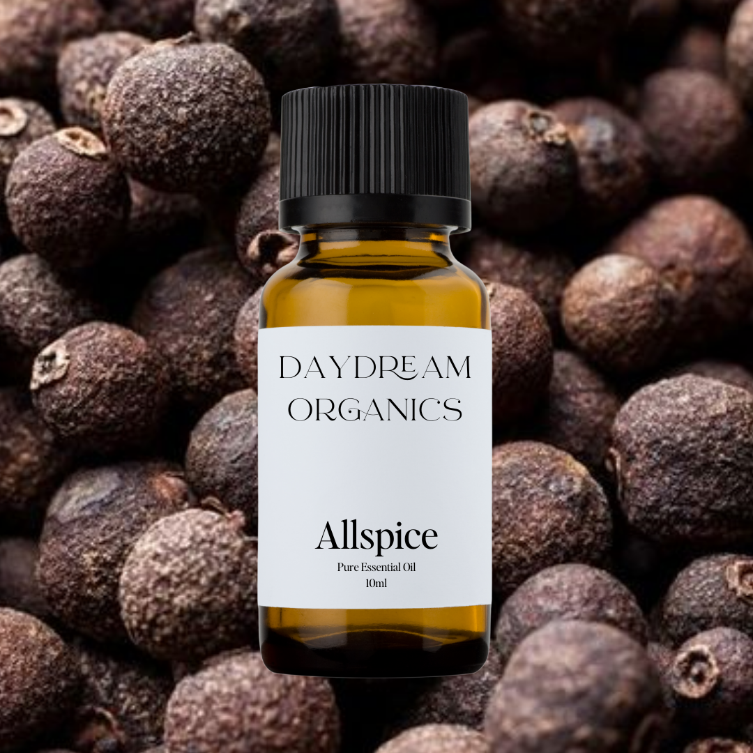 Our uncertified organic Allspice essential oil offers a warm, spicy, and slightly sweet aroma with rich notes reminiscent of clove, cinnamon, and nutmeg—cozy, comforting, and full of character.

Emotionally and energetically, Allspice is stimulating, warming, and uplifting, traditionally used to inspire courage, ignite motivation, and bring a sense of comfort and vitality to the heart and mind.