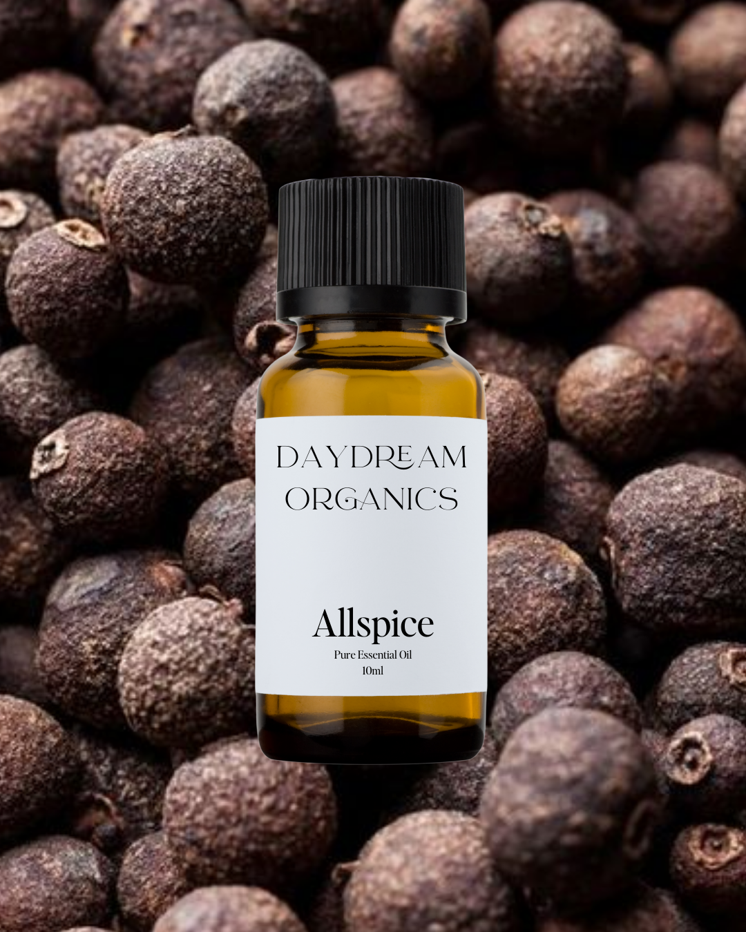 Our uncertified organic Allspice essential oil offers a warm, spicy, and slightly sweet aroma with rich notes reminiscent of clove, cinnamon, and nutmeg—cozy, comforting, and full of character.

Emotionally and energetically, Allspice is stimulating, warming, and uplifting, traditionally used to inspire courage, ignite motivation, and bring a sense of comfort and vitality to the heart and mind.