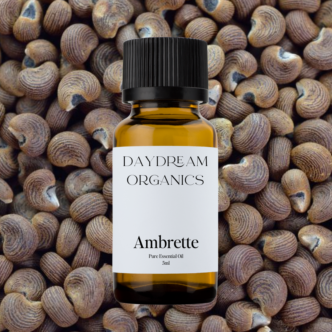 Our uncertified organic Ambrette Seed essential oil features a soft, musky, and slightly floral aroma with warm, nutty and amber-like undertones, often used as a delicate, plant-based alternative to traditional musk.

Emotionally and energetically, Ambrette Seed is sensual, comforting, and harmonizing, known to ease tension, open the heart, and promote a sense of emotional warmth and grounded elegance.