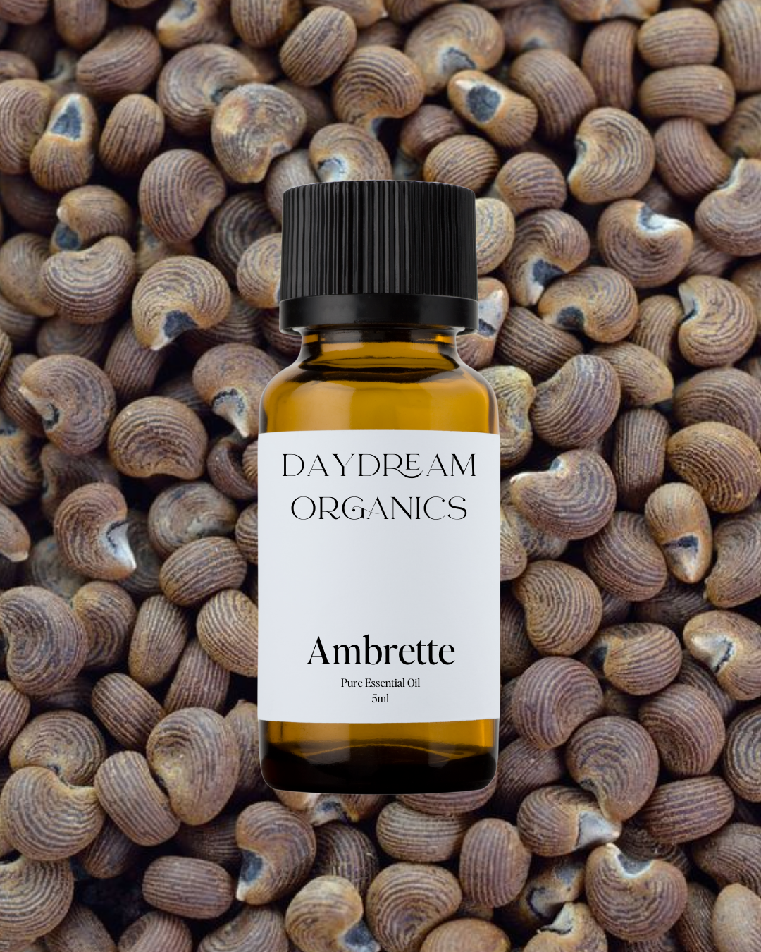 Our uncertified organic Ambrette Seed essential oil features a soft, musky, and slightly floral aroma with warm, nutty and amber-like undertones, often used as a delicate, plant-based alternative to traditional musk.

Emotionally and energetically, Ambrette Seed is sensual, comforting, and harmonizing, known to ease tension, open the heart, and promote a sense of emotional warmth and grounded elegance.