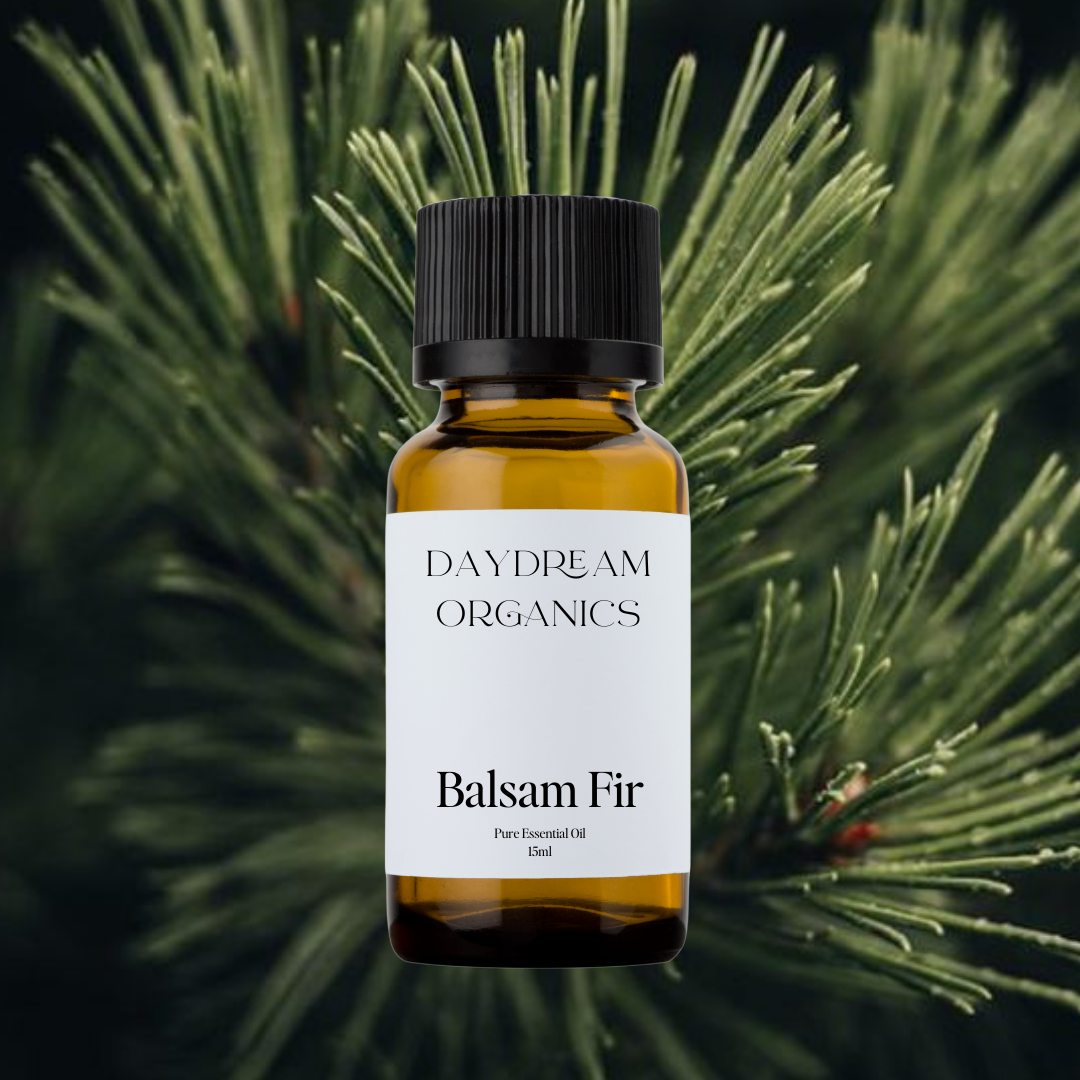 Our uncertified organic Balsam Fir essential oil offers a crisp, fresh, and woodsy aroma with bright evergreen and slightly sweet balsamic notes.

Emotionally and energetically, Balsam Fir is uplifting, grounding, and deeply restorative, often used to clear emotional heaviness, support breath and presence, and reconnect with a sense of calm, strength, and vitality.