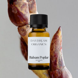 Our uncertified organic Balsam Poplar (Populus balsamifera) essential oil features a sweet, resinous, and slightly smoky aroma with rich balsamic and earthy undertones.

Emotionally and energetically, Balsam Poplar is soothing, grounding, and heart-centering, traditionally used to comfort the spirit, ease emotional tension, and evoke a deep sense of peace, protection, and connection to nature.